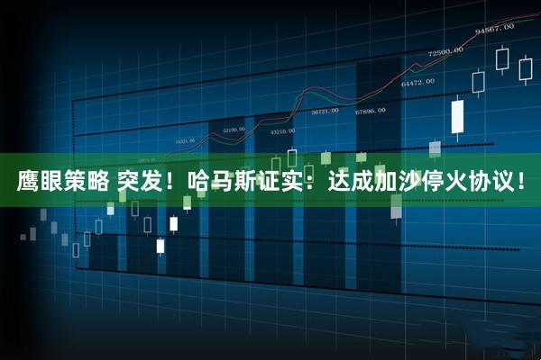 鷹眼策略 突發！哈馬斯證實：達成加沙?；饏f議！